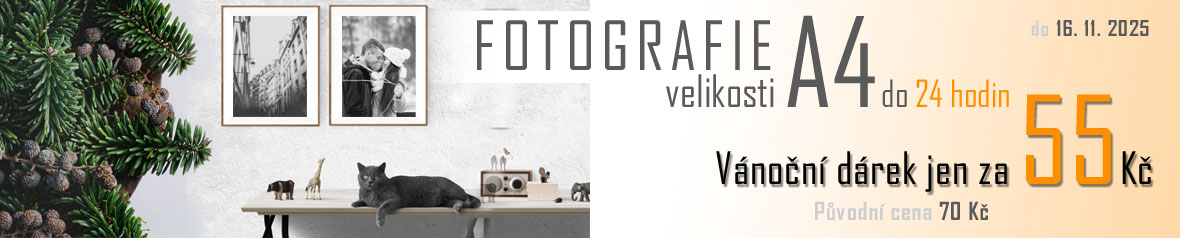 Levný a rychlý vánoční dárek