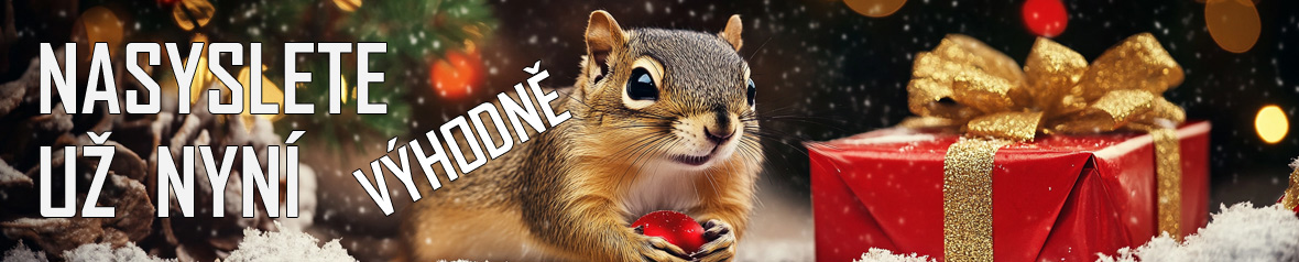 Nasyslete Vánoční dárky - už nyní a výhodně