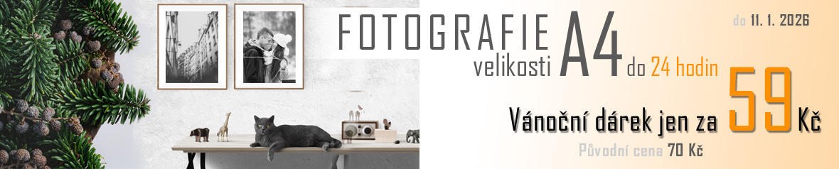 Levný vánoční dárek