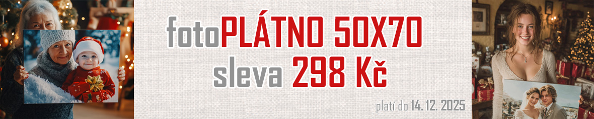 Levný a rychlý vánoční dárek