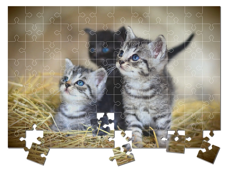 puzzle s vaší fotkou